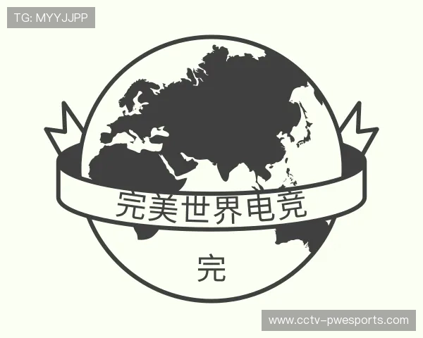 关于完美世界电竞公司